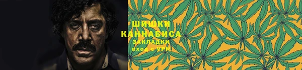 экстази Богданович