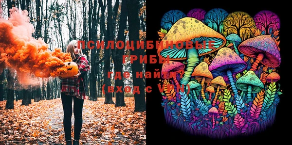 ешки Богородицк