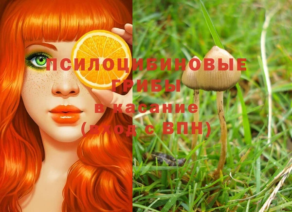 ешки Богородицк