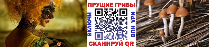 сколько стоит  Октябрьский  hydra tor  Псилоцибиновые грибы MAGIC MUSHROOMS 
